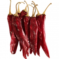 HONGLONG-13 CHILI (WITH 